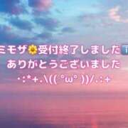 ヒメ日記 2025/12/04 23:50 投稿 ミモザ 飾窓