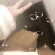 ヒメ日記 2025/12/05 09:00 投稿 ミモザ 飾窓