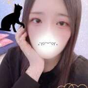 ヒメ日記 2025/12/05 15:00 投稿 ミモザ 飾窓