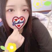 ヒメ日記 2025/12/05 23:30 投稿 ミモザ 飾窓