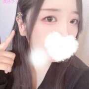 ヒメ日記 2025/12/07 12:00 投稿 ミモザ 飾窓