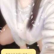 ヒメ日記 2025/12/08 08:00 投稿 ミモザ 飾窓