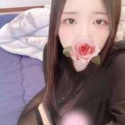 ヒメ日記 2025/12/08 15:00 投稿 ミモザ 飾窓