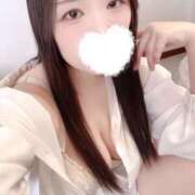 ヒメ日記 2025/12/09 15:00 投稿 ミモザ 飾窓