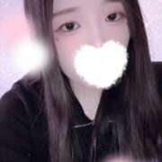 ヒメ日記 2025/12/11 15:00 投稿 ミモザ 飾窓