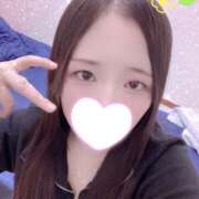 ヒメ日記 2025/12/11 20:15 投稿 ミモザ 飾窓