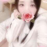 ヒメ日記 2025/12/12 12:00 投稿 ミモザ 飾窓