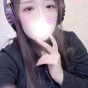 ヒメ日記 2025/12/14 08:00 投稿 ミモザ 飾窓