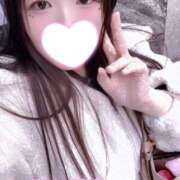 ヒメ日記 2025/12/14 16:00 投稿 ミモザ 飾窓