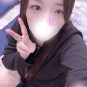 ヒメ日記 2025/12/14 21:00 投稿 ミモザ 飾窓