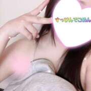 ミモザ お着替え 飾窓