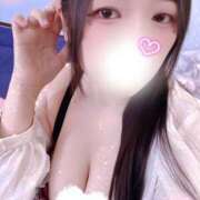 ミモザ 何挟む？ 飾窓