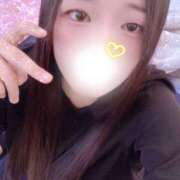 ヒメ日記 2025/12/16 15:00 投稿 ミモザ 飾窓