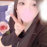 ヒメ日記 2025/12/18 15:00 投稿 ミモザ 飾窓