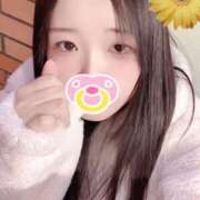 ヒメ日記 2025/12/18 20:20 投稿 ミモザ 飾窓