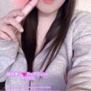 ミモザ おめかし♡ 飾窓