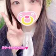 ミモザ スタート80分🩷 飾窓