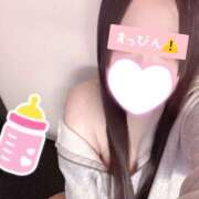 ヒメ日記 2025/12/20 08:40 投稿 ミモザ 飾窓