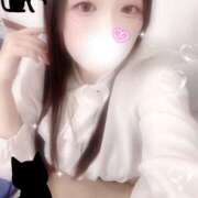 ヒメ日記 2025/12/21 15:00 投稿 ミモザ 飾窓