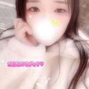 ヒメ日記 2025/12/23 13:30 投稿 ミモザ 飾窓