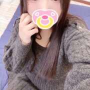 ヒメ日記 2025/12/23 23:20 投稿 ミモザ 飾窓