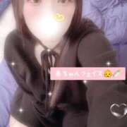 ヒメ日記 2025/12/24 15:00 投稿 ミモザ 飾窓