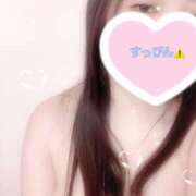 ヒメ日記 2025/12/25 08:10 投稿 ミモザ 飾窓