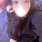 ヒメ日記 2025/12/26 15:00 投稿 ミモザ 飾窓