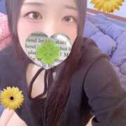 ヒメ日記 2025/12/26 18:00 投稿 ミモザ 飾窓