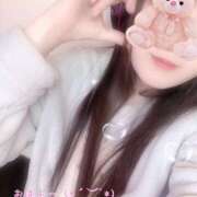 ヒメ日記 2025/12/27 08:30 投稿 ミモザ 飾窓