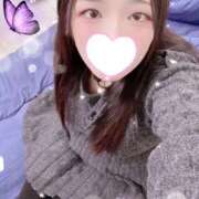 ヒメ日記 2025/12/27 12:00 投稿 ミモザ 飾窓