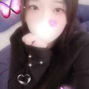 ヒメ日記 2025/12/29 12:00 投稿 ミモザ 飾窓