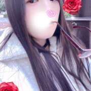 ミモザ sexy？ 飾窓