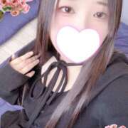 ヒメ日記 2025/12/31 15:00 投稿 ミモザ 飾窓