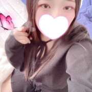 ヒメ日記 2026/01/02 15:00 投稿 ミモザ 飾窓