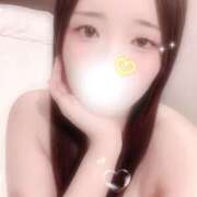 ヒメ日記 2026/01/02 16:30 投稿 ミモザ 飾窓