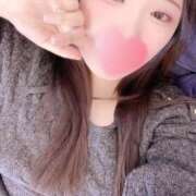 ヒメ日記 2026/01/03 16:00 投稿 ミモザ 飾窓