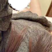 ヒメ日記 2026/01/03 19:00 投稿 ミモザ 飾窓