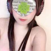 ヒメ日記 2026/01/04 08:30 投稿 ミモザ 飾窓