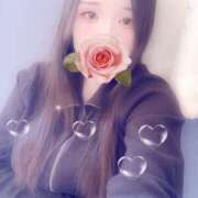 ヒメ日記 2026/01/04 15:00 投稿 ミモザ 飾窓