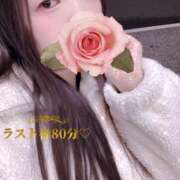 ヒメ日記 2026/01/04 23:27 投稿 ミモザ 飾窓