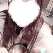 ヒメ日記 2026/01/06 18:00 投稿 ミモザ 飾窓