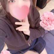 ヒメ日記 2026/01/08 15:03 投稿 ミモザ 飾窓