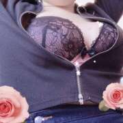 ヒメ日記 2026/01/08 18:00 投稿 ミモザ 飾窓