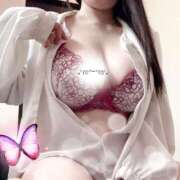 ヒメ日記 2026/01/09 12:00 投稿 ミモザ 飾窓