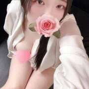 ヒメ日記 2026/01/09 18:00 投稿 ミモザ 飾窓