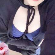 ヒメ日記 2026/01/11 12:00 投稿 ミモザ 飾窓