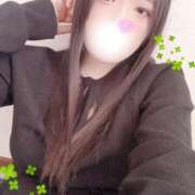 ヒメ日記 2026/01/11 15:00 投稿 ミモザ 飾窓