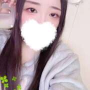 ヒメ日記 2026/01/12 08:20 投稿 ミモザ 飾窓