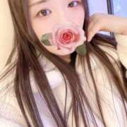 ヒメ日記 2026/01/14 17:00 投稿 ミモザ 飾窓